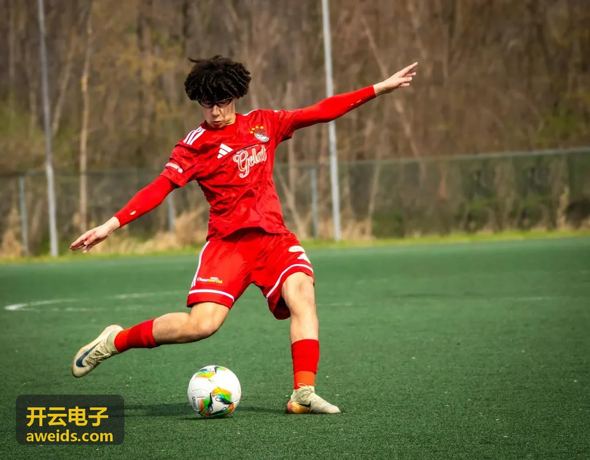 开云电子文件管理界面截图